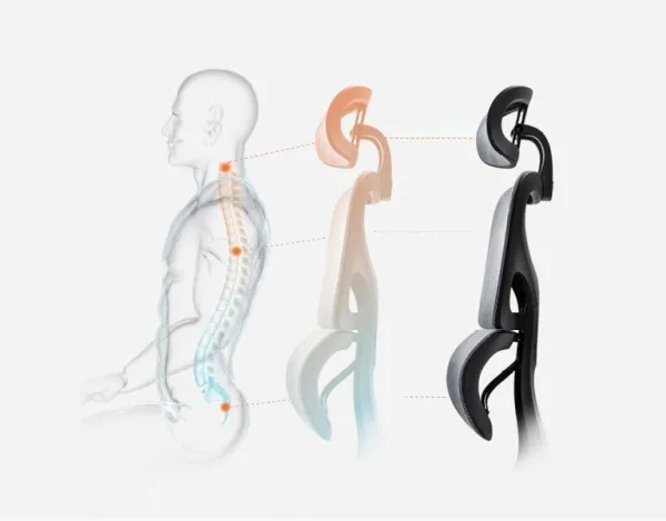 Ghế Công Thái Học TH MAX GCTH-01