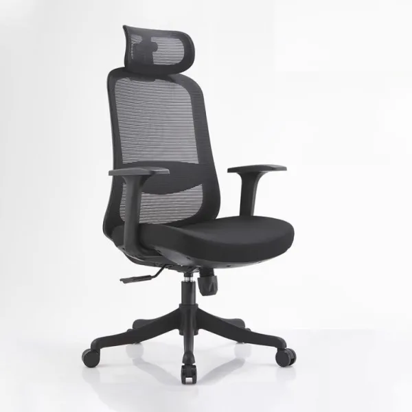 Ghế Công Thái Học TH MAX GCTH-09