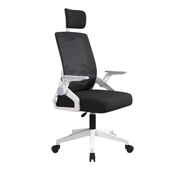 Ghế Công Thái Học TH MAX GCTH-13