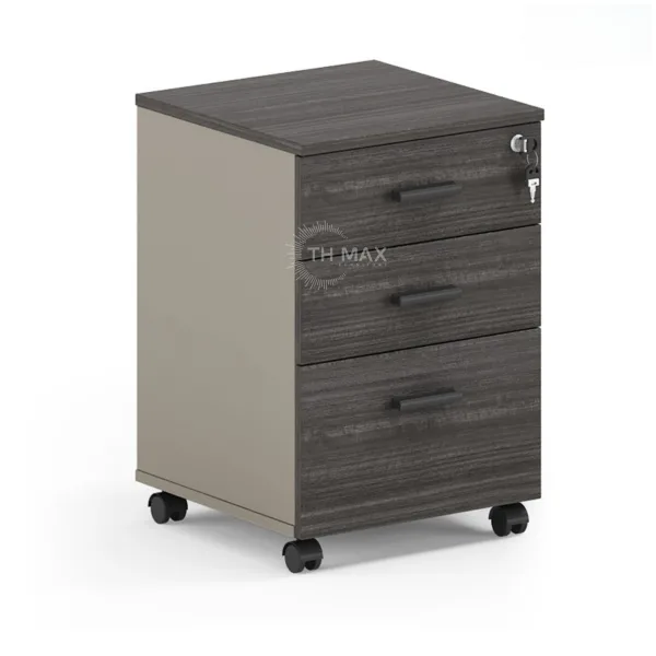 Tủ di động TH MAX TDĐ - 21