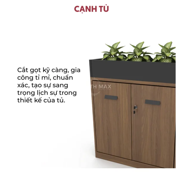 Tủ tài liệu gỗ TH MAX TTLG - 52