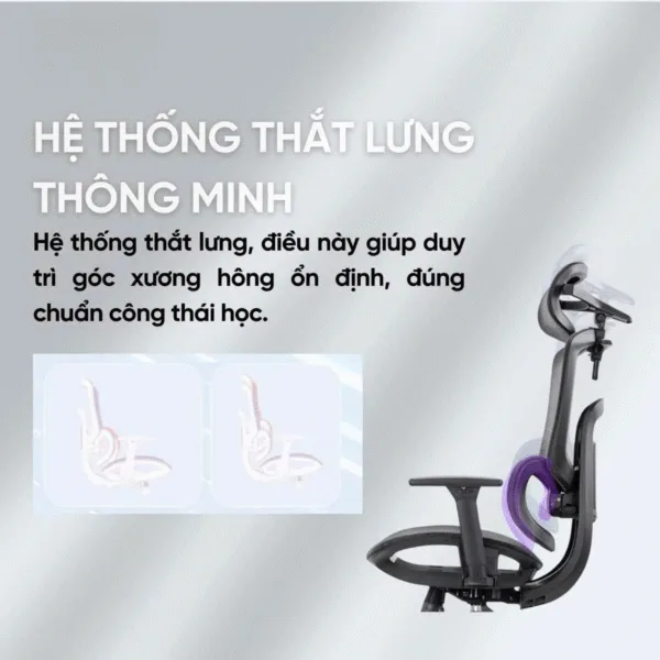 Ghế công thái học TH MAX: Mỗi chức năng - mỗi trải nghiệm